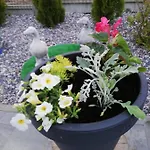 U Strazaka -morze Nyaraló Gąski