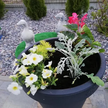 U Strazaka -morze Nyaraló Gąski