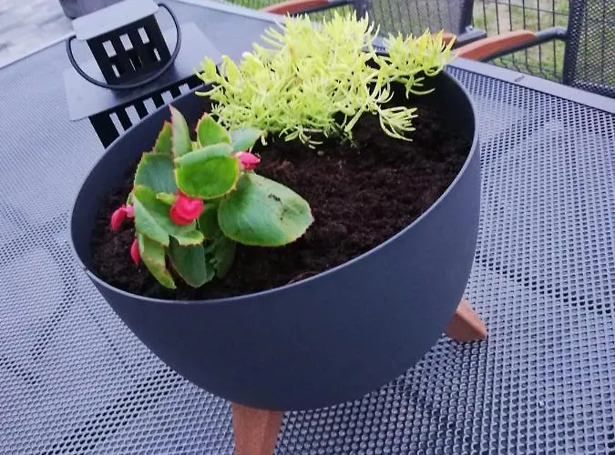 U Strazaka -morze Hébergement de vacances Gąski