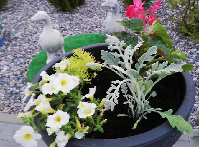 U Strazaka -morze Hébergement de vacances Gąski